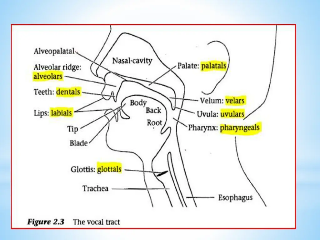 slide13