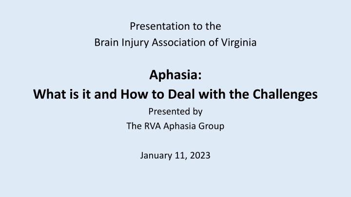 presentation to the brain injury association