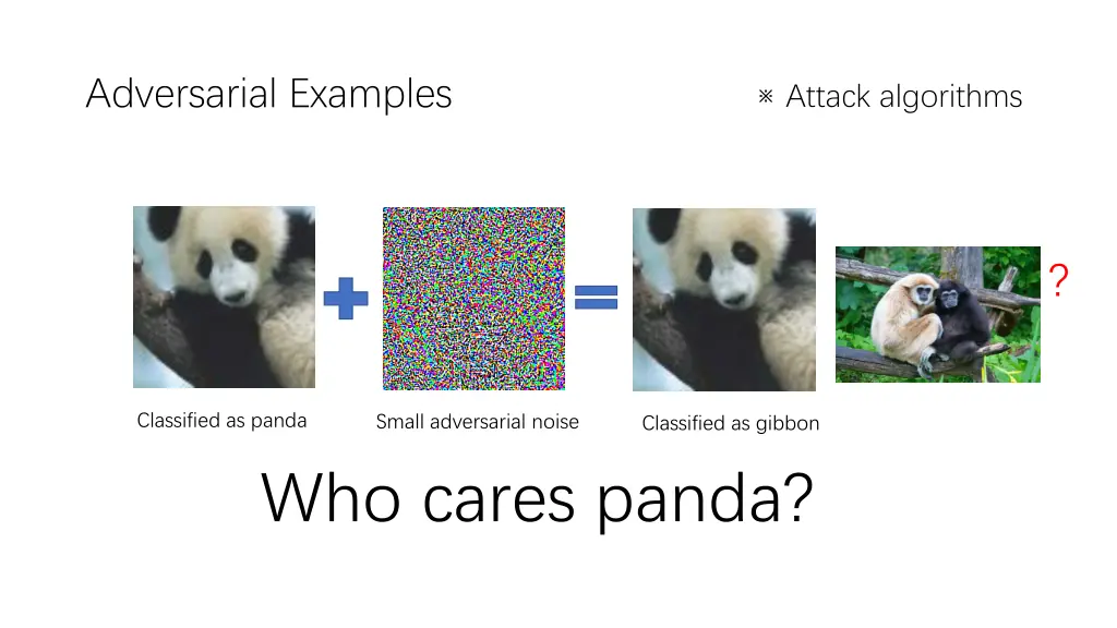 adversarial examples