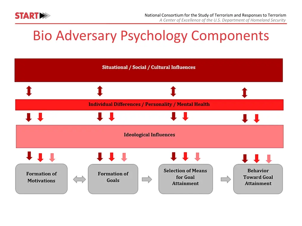 national consortium for the study of terrorism 7