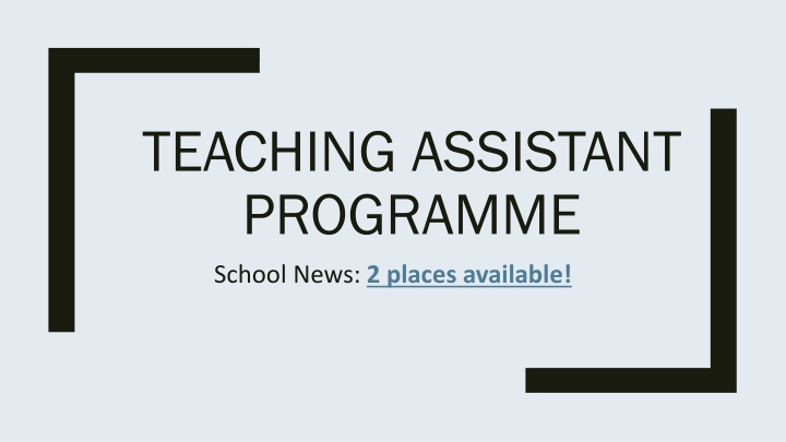 teaching assistant programme