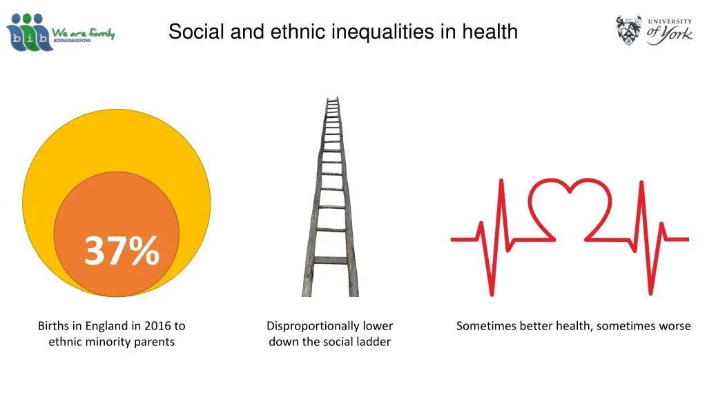 social and ethnic inequalities in health