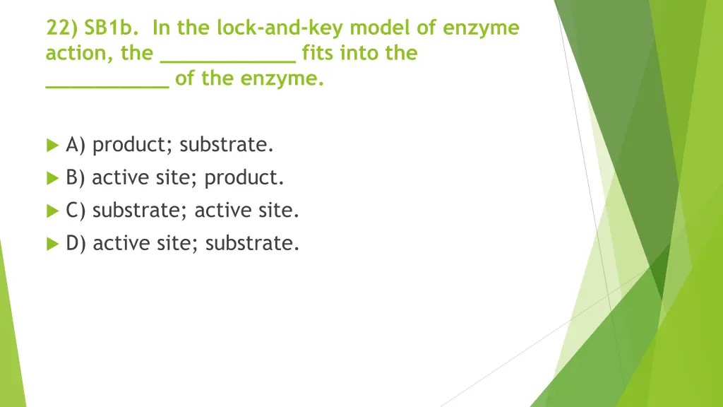 22 sb1b in the lock and key model of enzyme