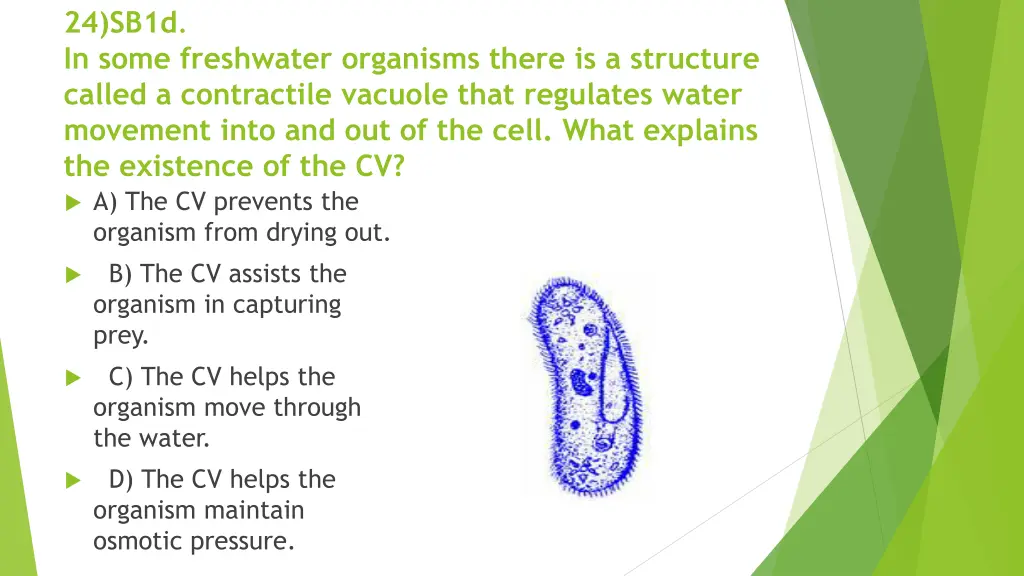 24 sb1d in some freshwater organisms there