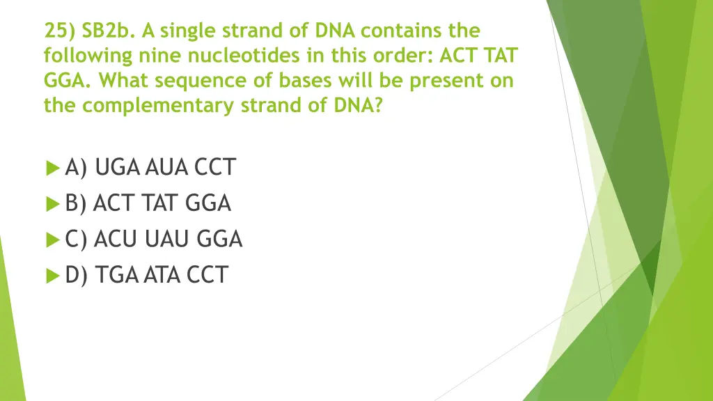 25 sb2b a single strand of dna contains