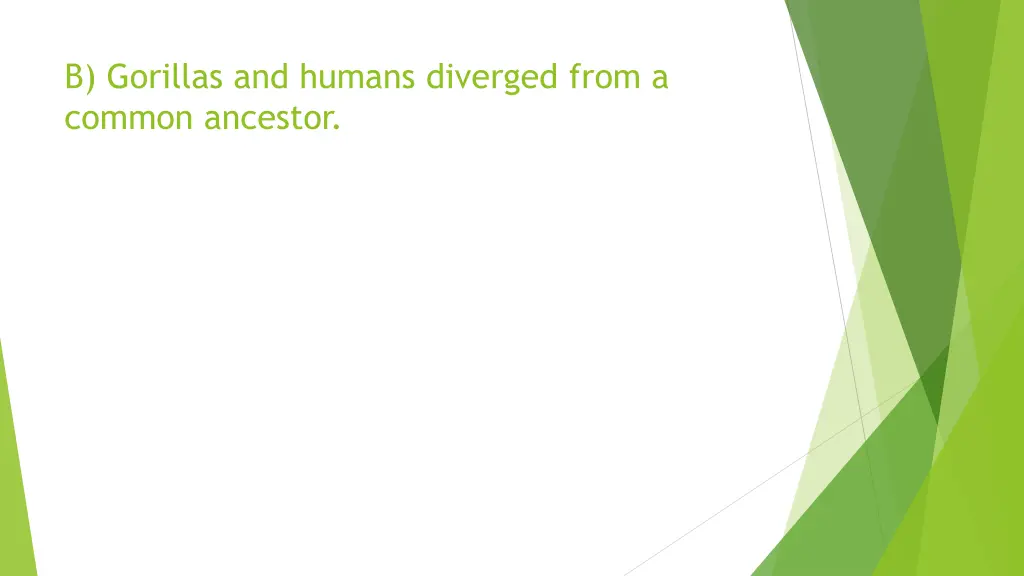 b gorillas and humans diverged from a common