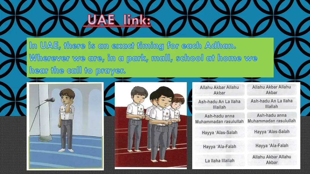 uae link