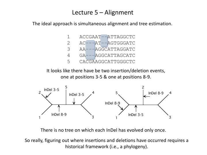 lecture 5 alignment