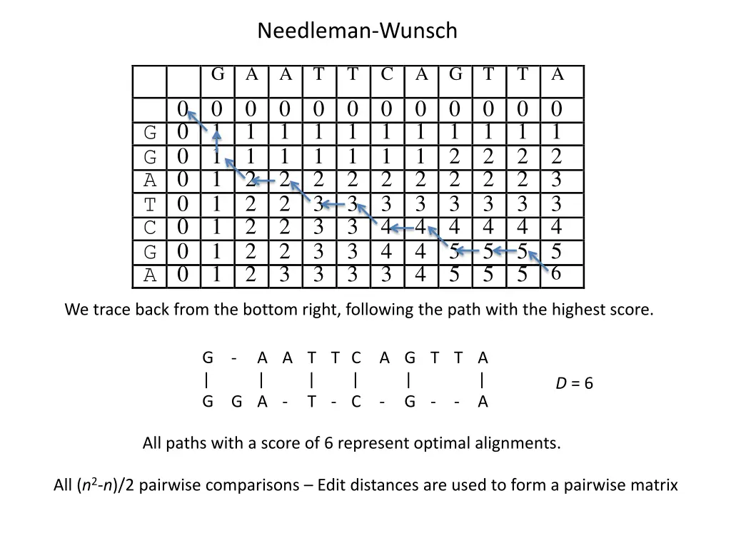 needleman wunsch 2