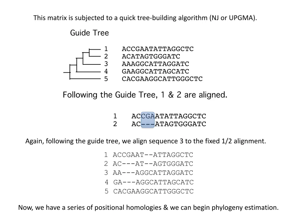 this matrix is subjected to a quick tree building