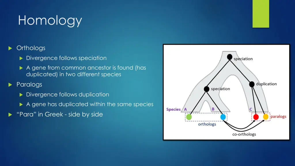 homology