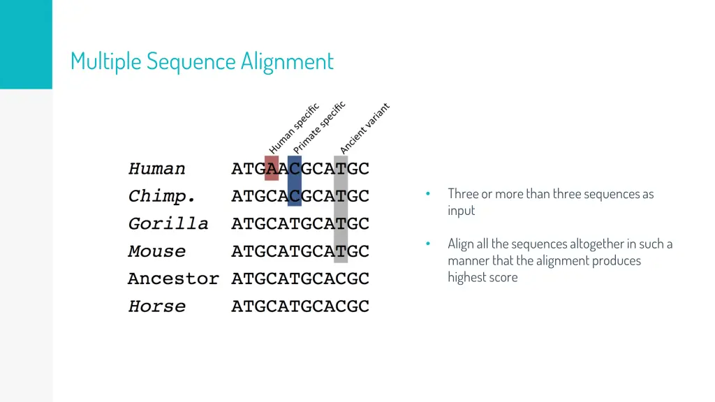 multiple sequence alignment