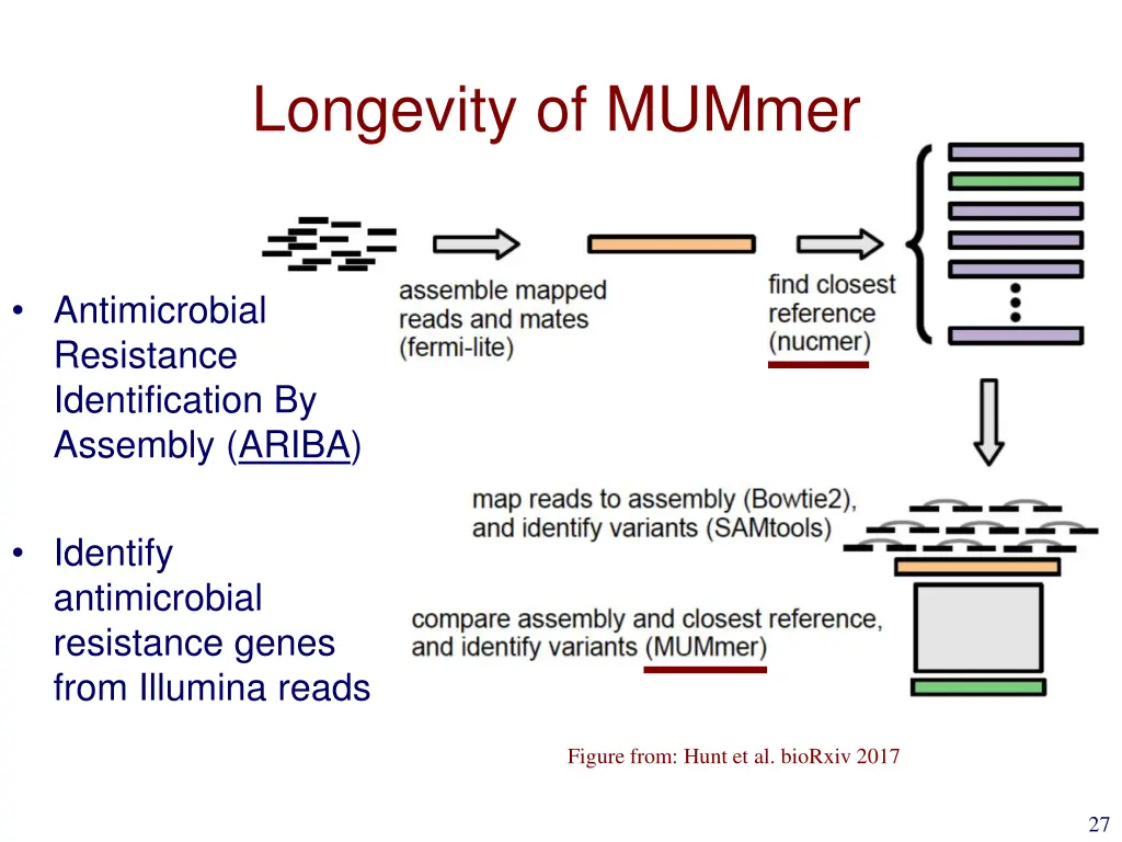 longevity of mummer