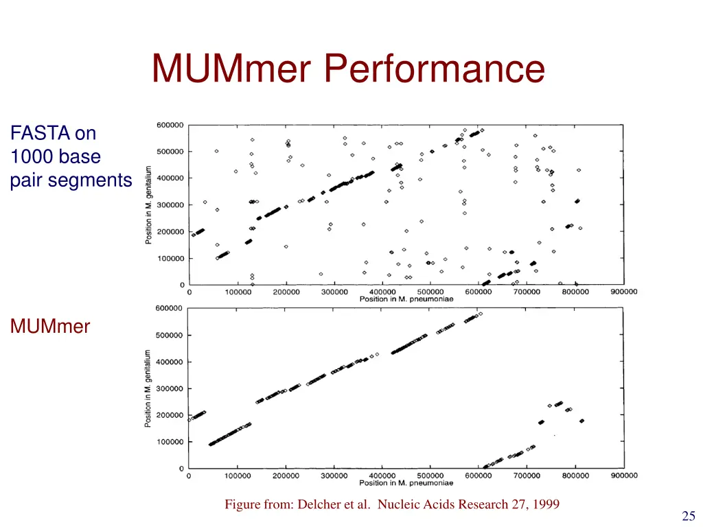 mummer performance