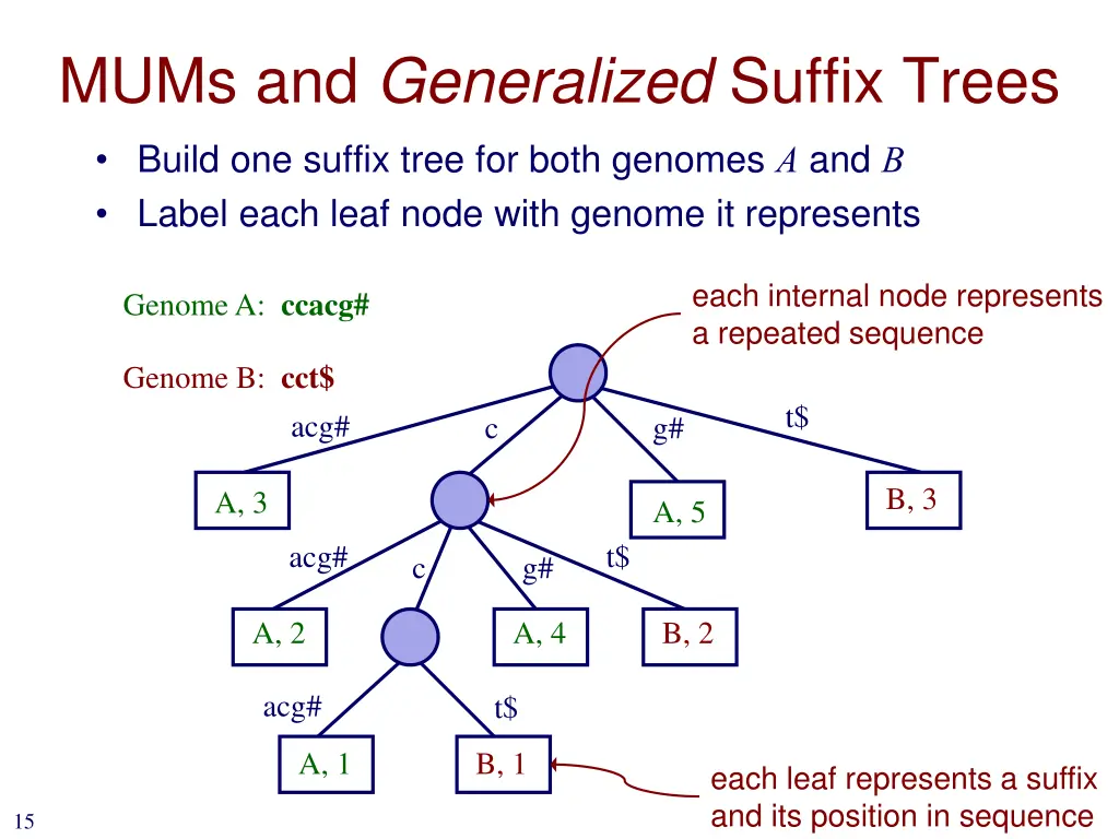 mums and generalized suffix trees