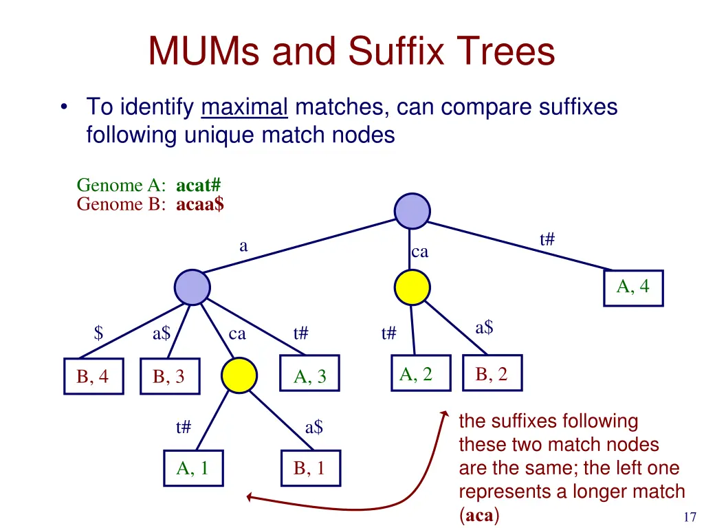 mums and suffix trees 1