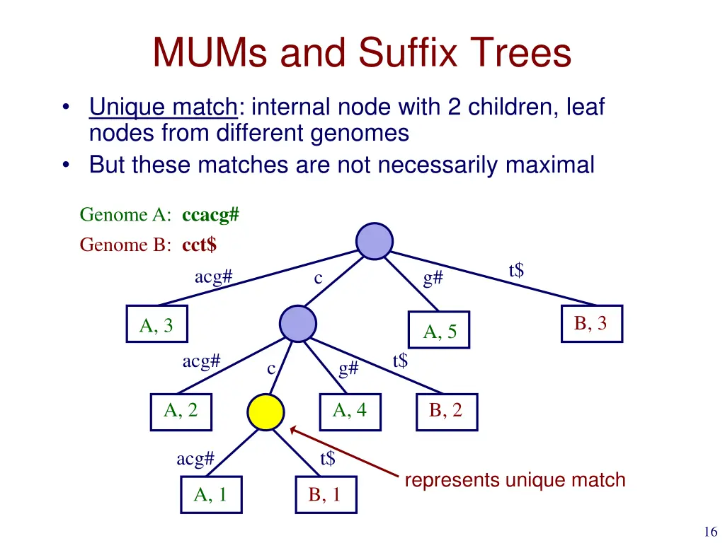 mums and suffix trees