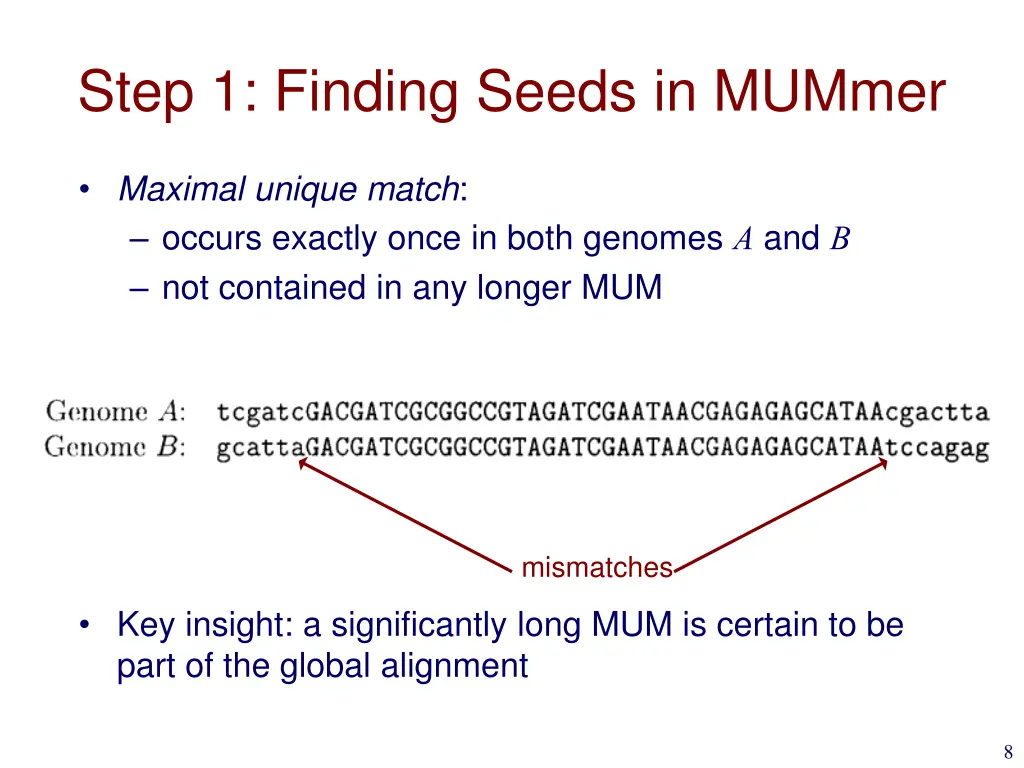 step 1 finding seeds in mummer