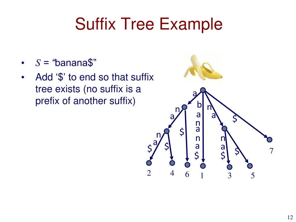 suffix tree example