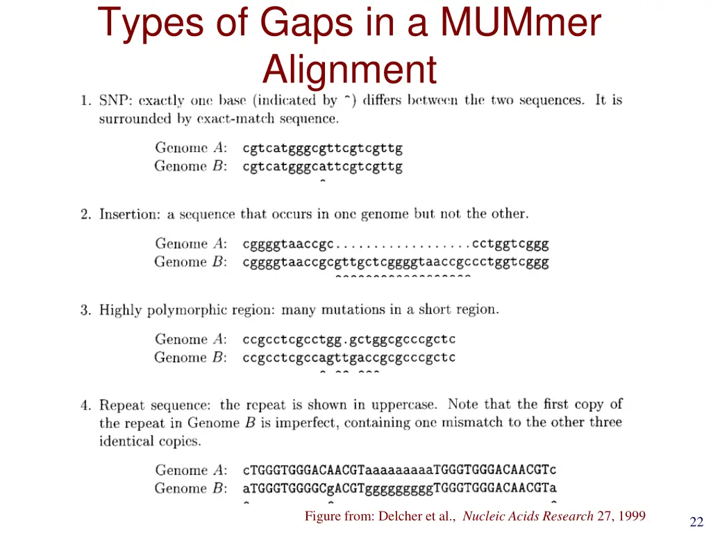 types of gaps in a mummer alignment