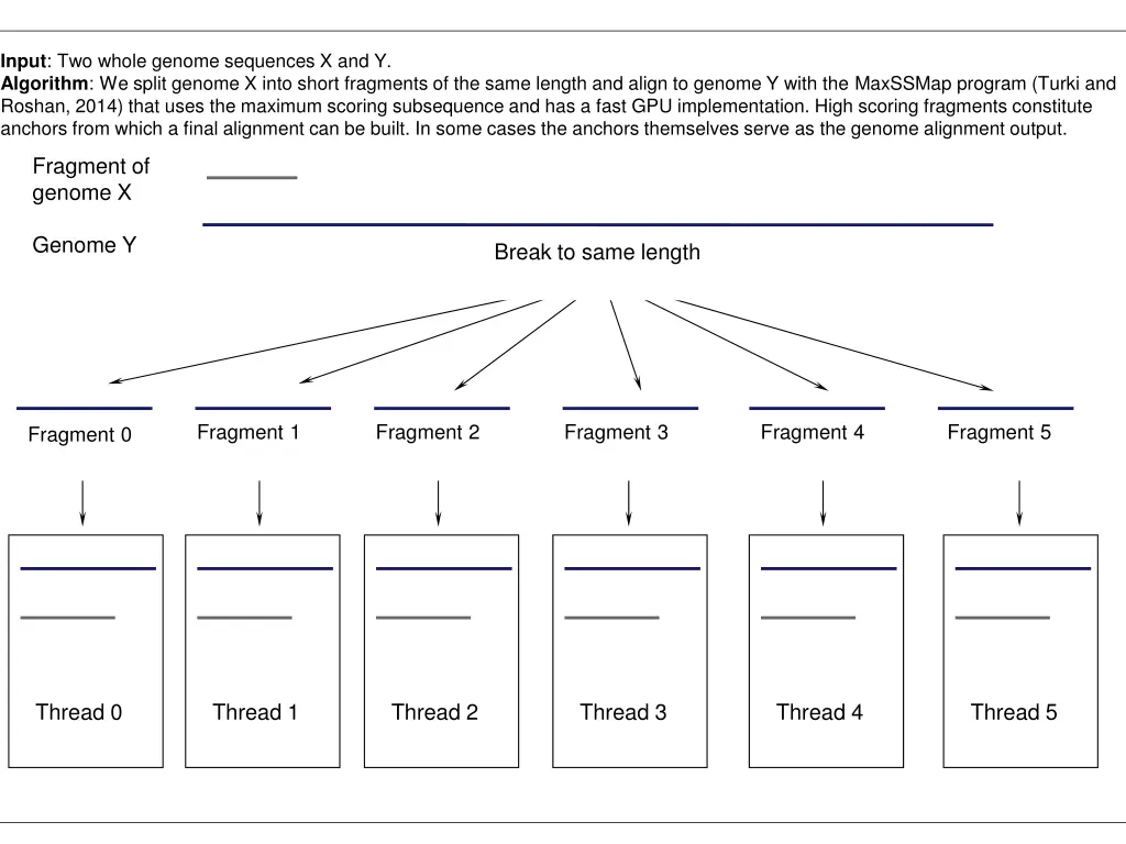 input two whole genome sequences