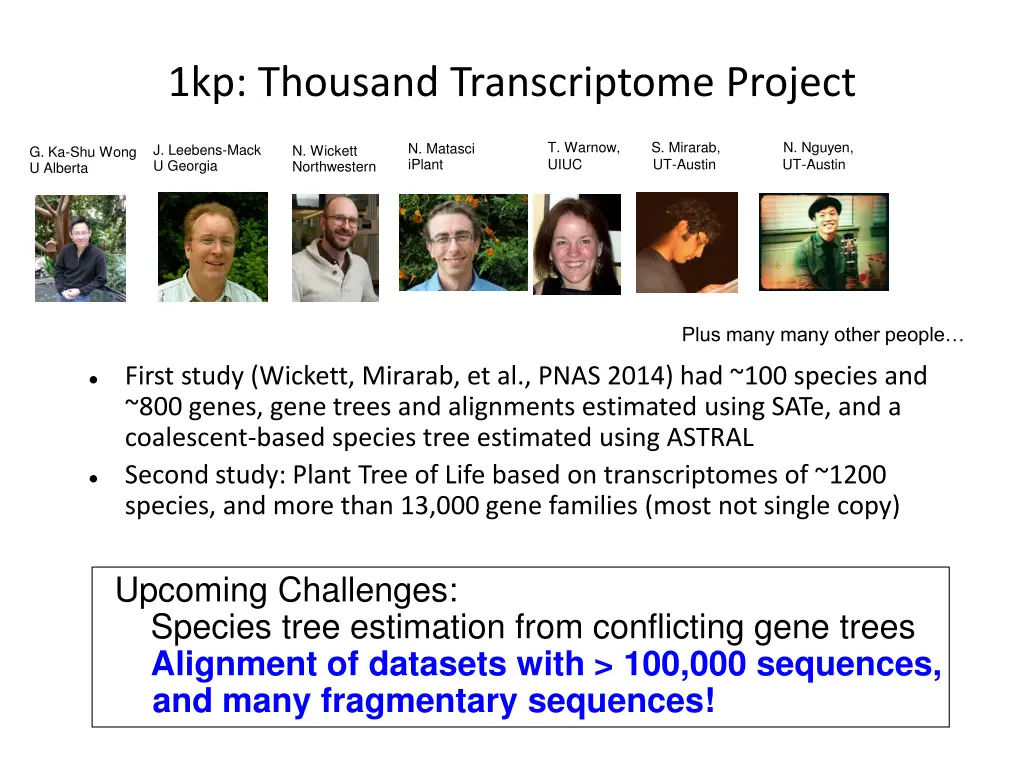 1kp thousand transcriptome project 1