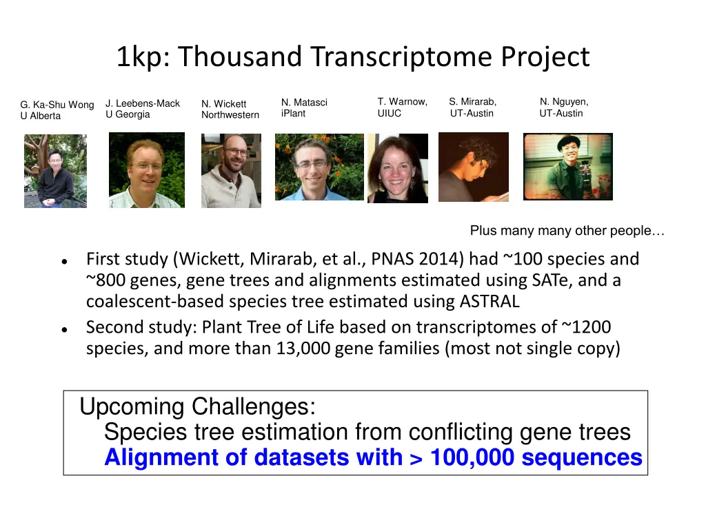 1kp thousand transcriptome project