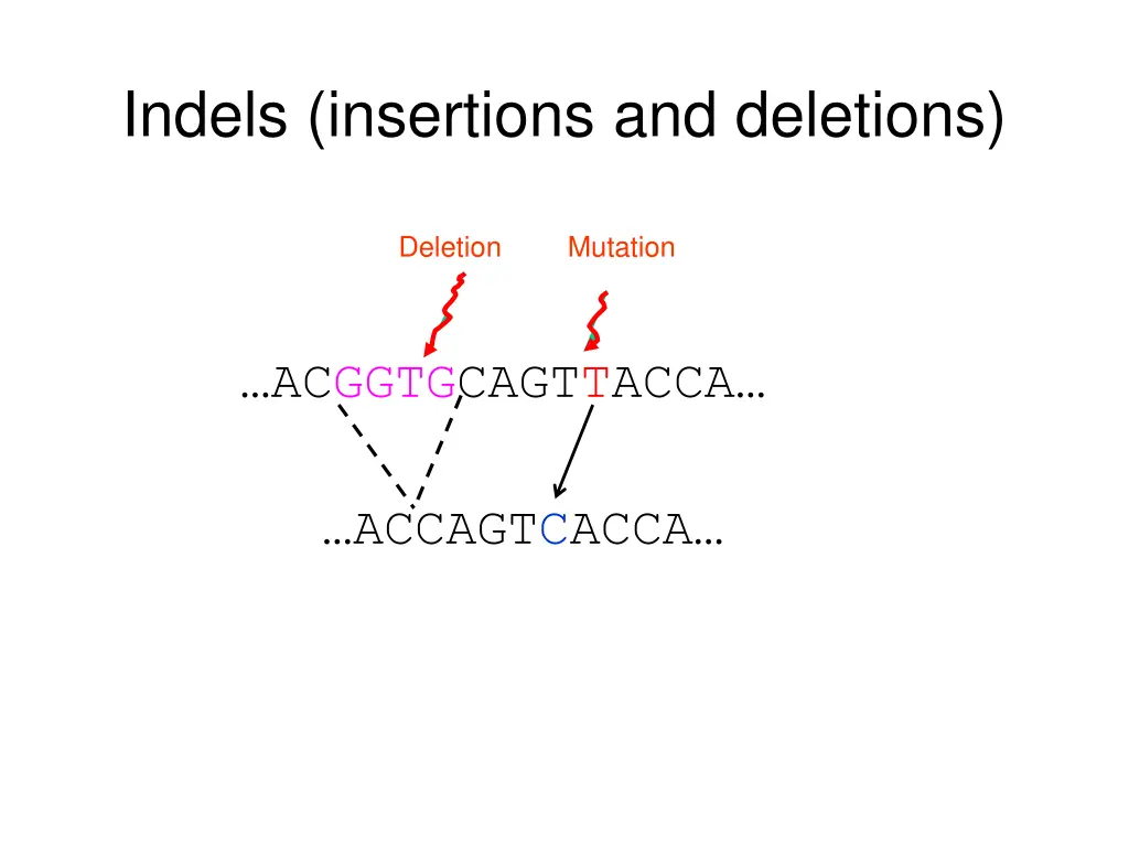 indels insertions and deletions