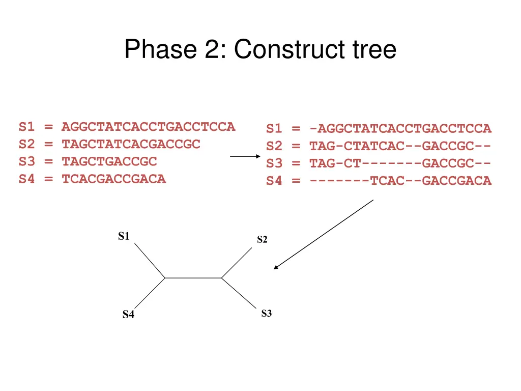 phase 2 construct tree