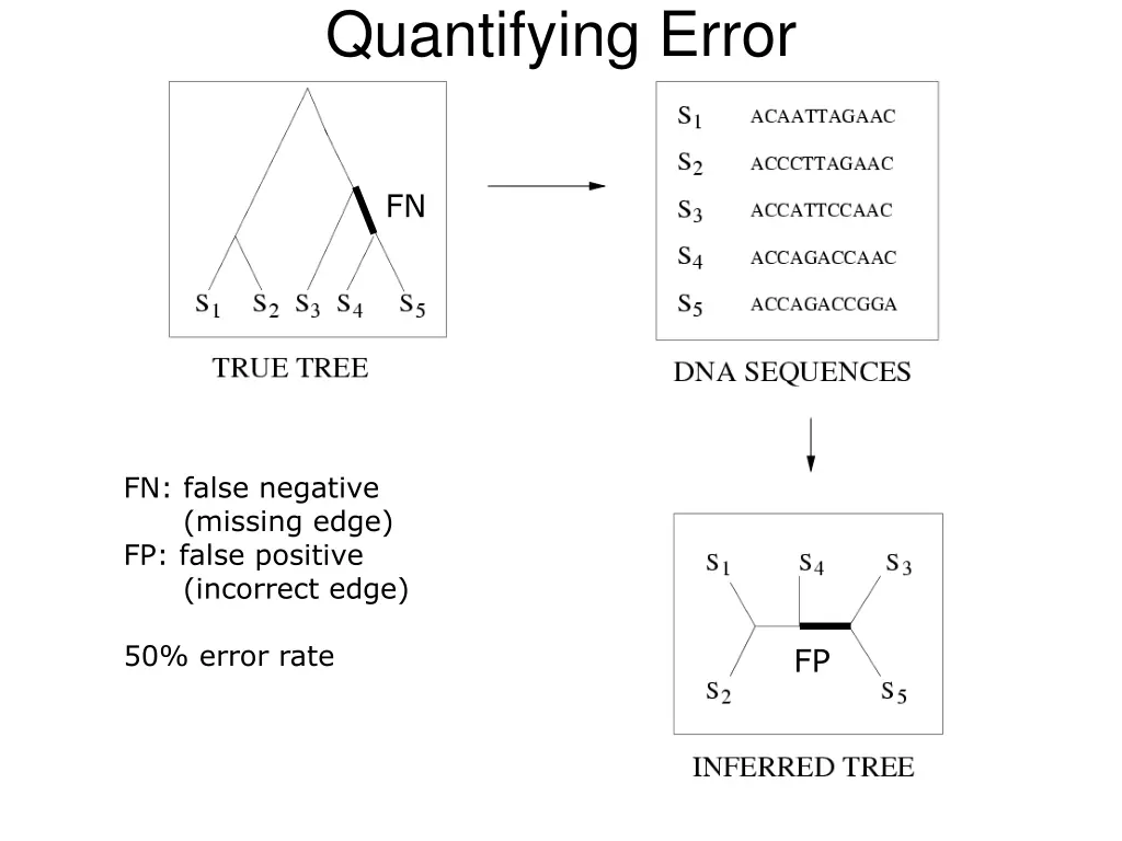 quantifying error 1