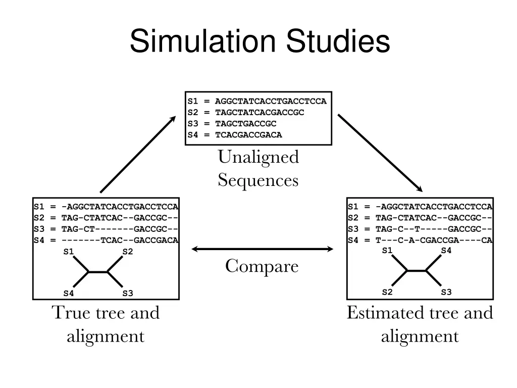 simulation studies