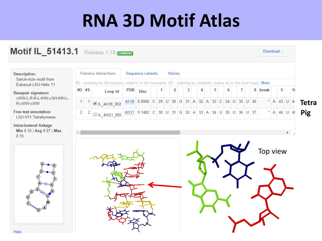 rna 3d motif atlas 1