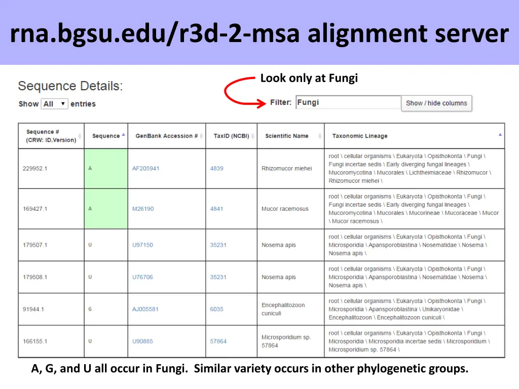 rna bgsu edu r3d 2 msa alignment server 3