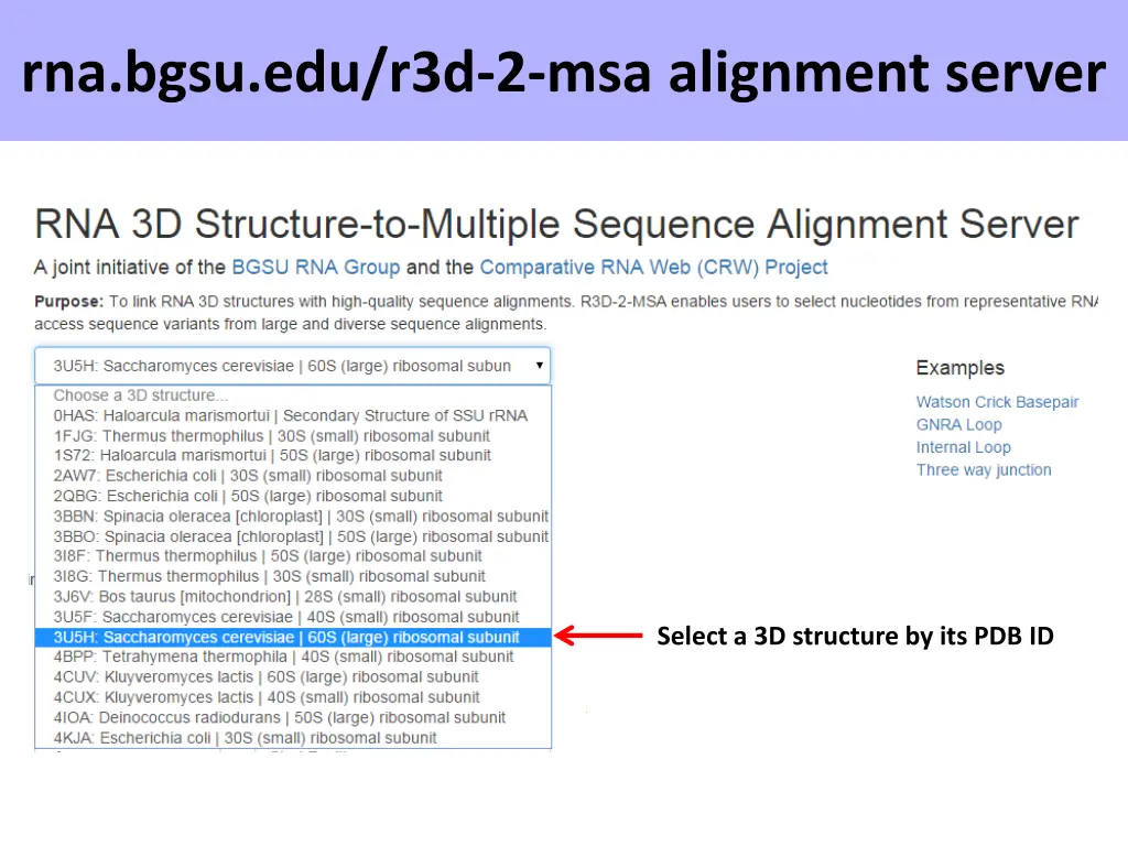 rna bgsu edu r3d 2 msa alignment server