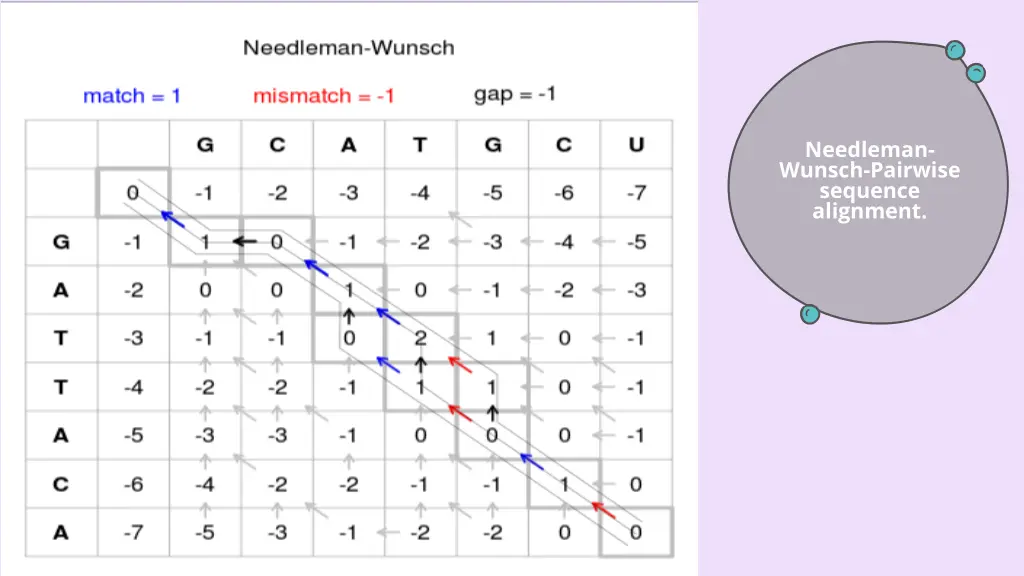 needleman wunsch pairwise sequence alignment