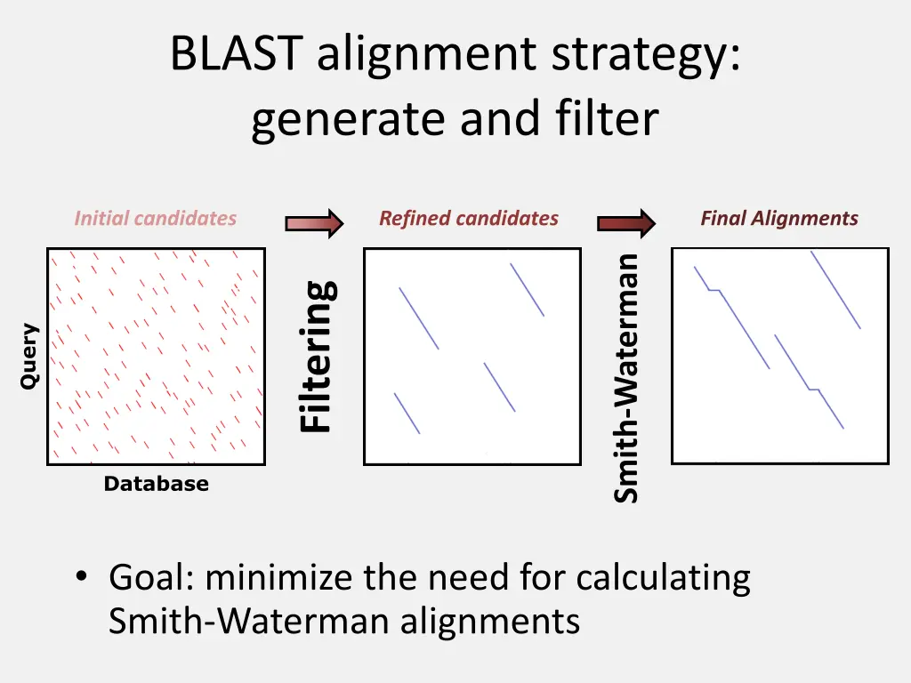 blast alignment strategy generate and filter