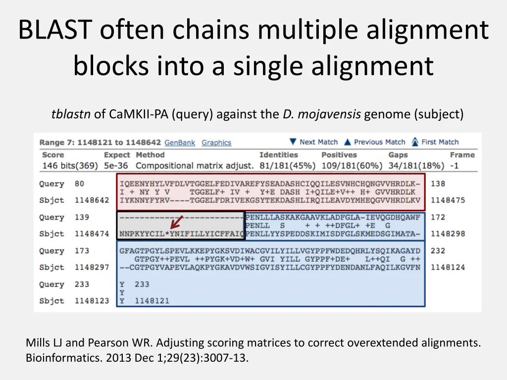 blast often chains multiple alignment blocks into