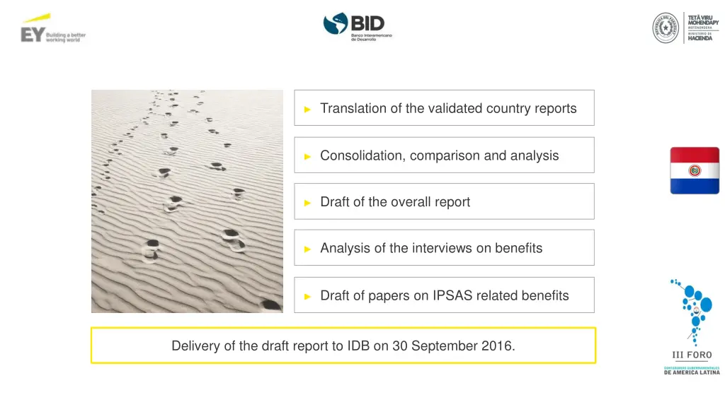 translation of the validated country reports