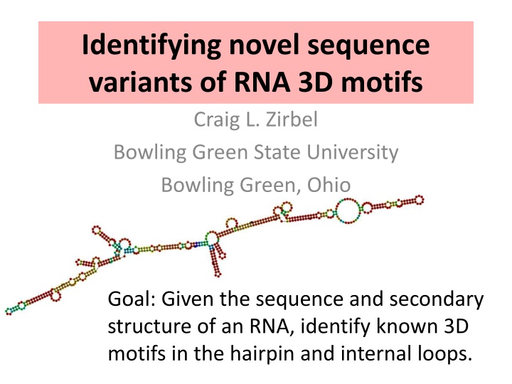 identifying novel sequence variants