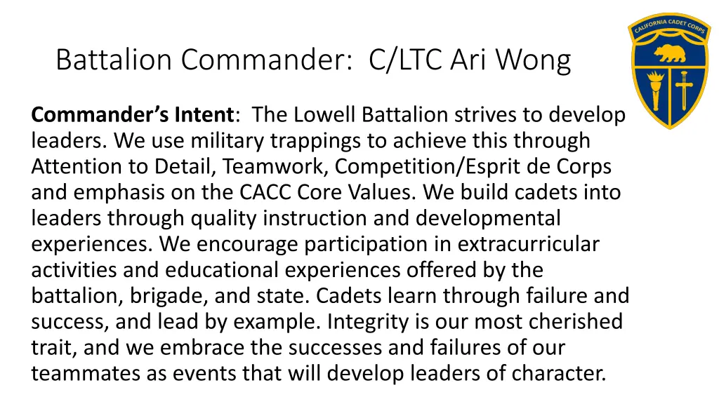 battalion commander c ltc ari wong 1