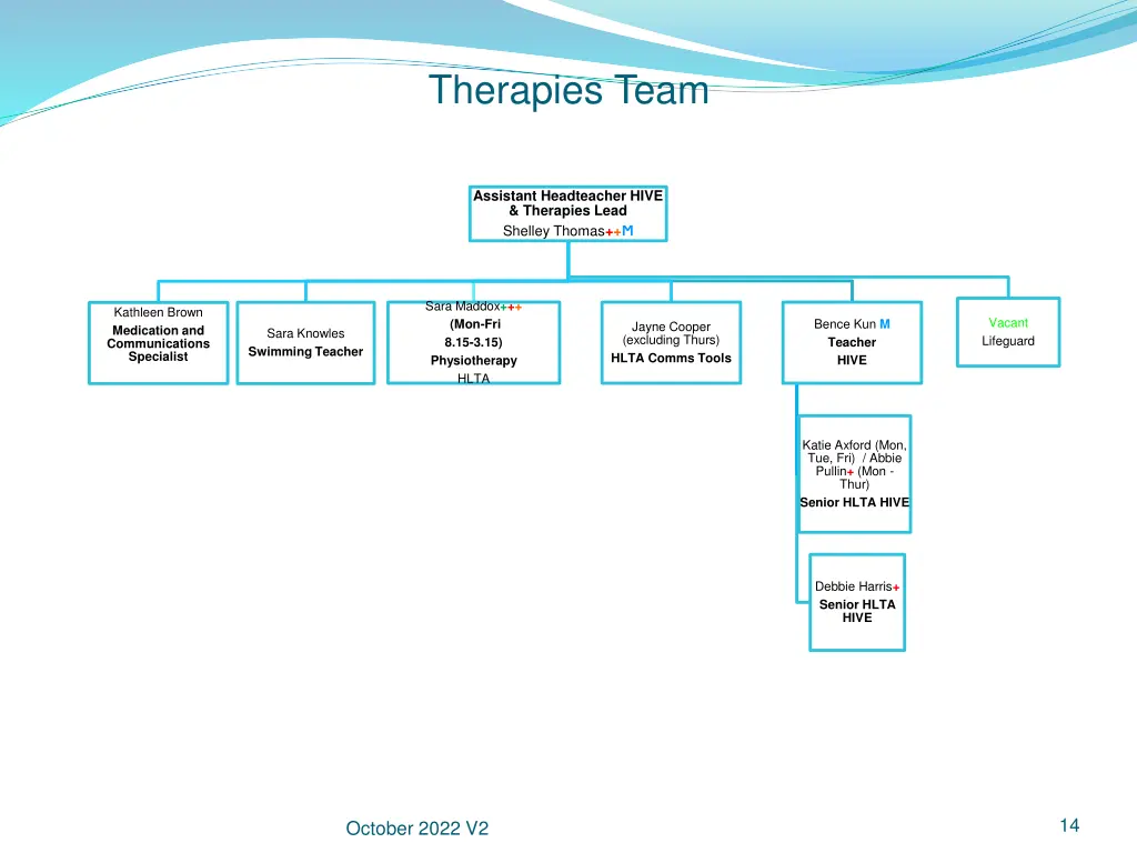 therapies team