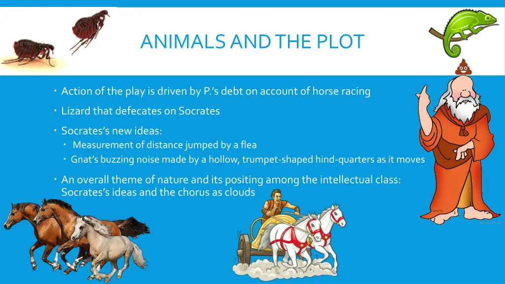 animals and the plot