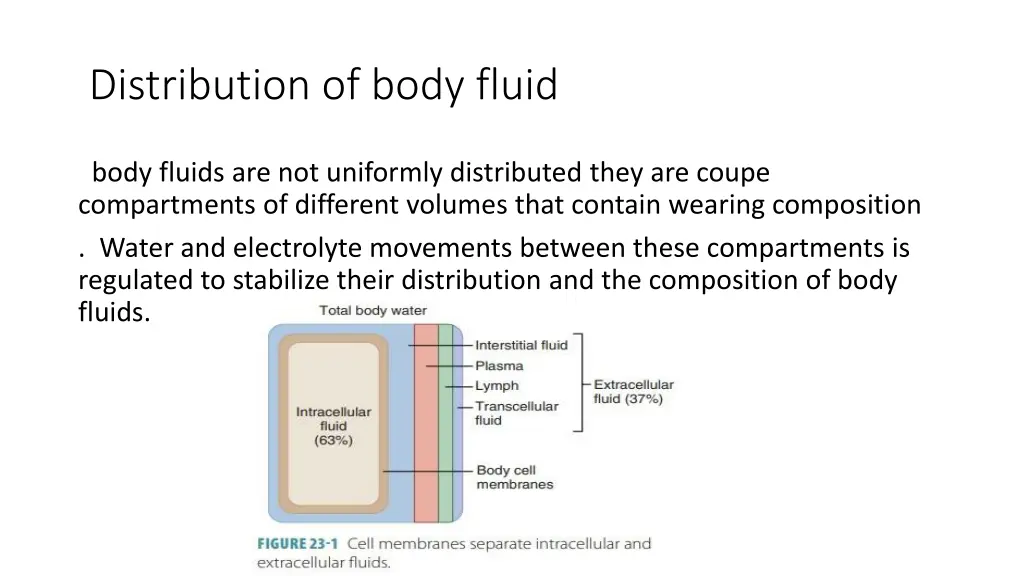 distribution of body fluid