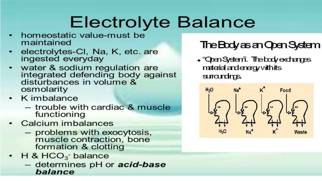 slide12