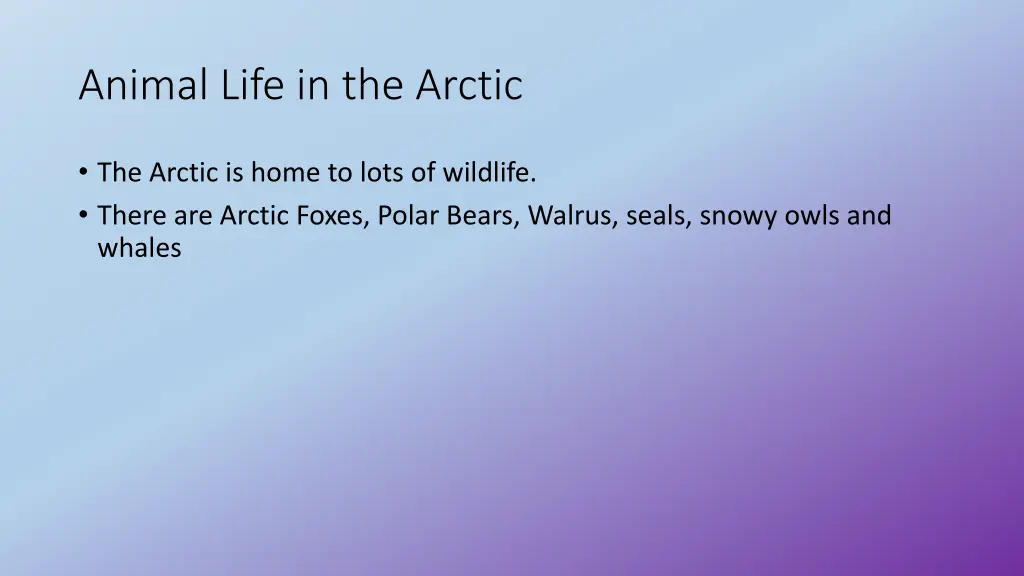 animal life in the arctic