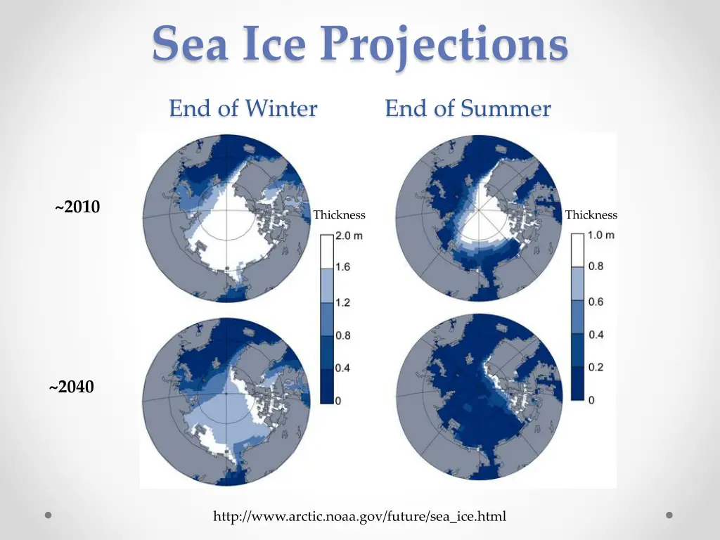 sea ice projections