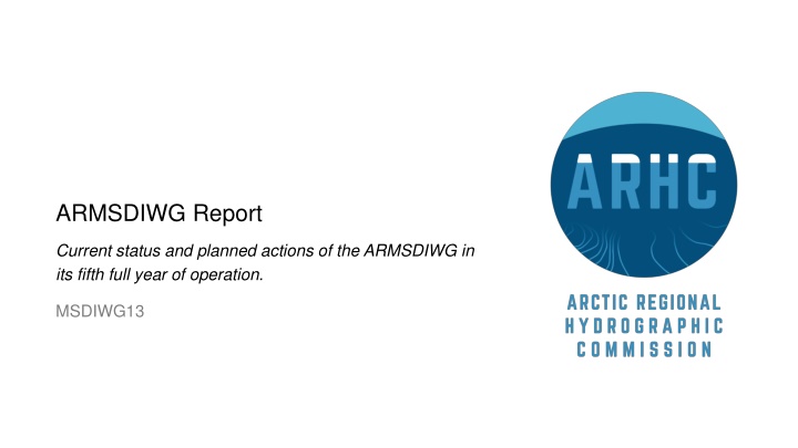 armsdiwg report