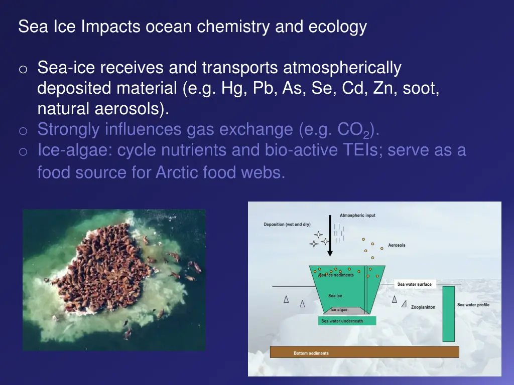 sea ice impacts ocean chemistry and ecology