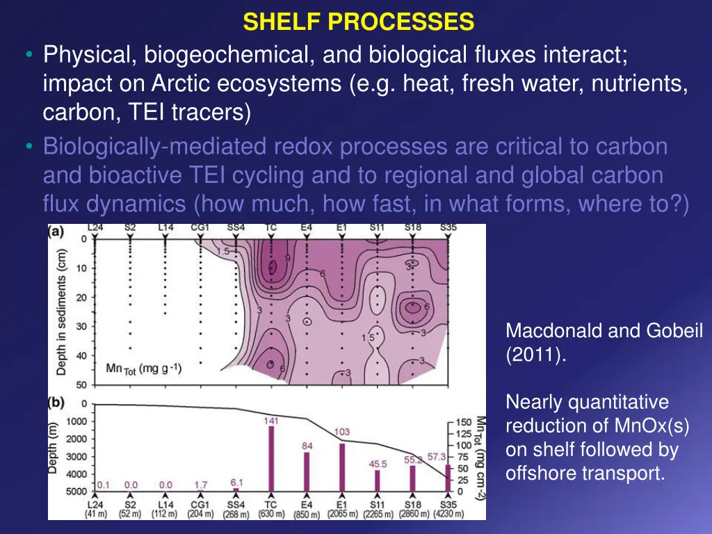 shelf processes