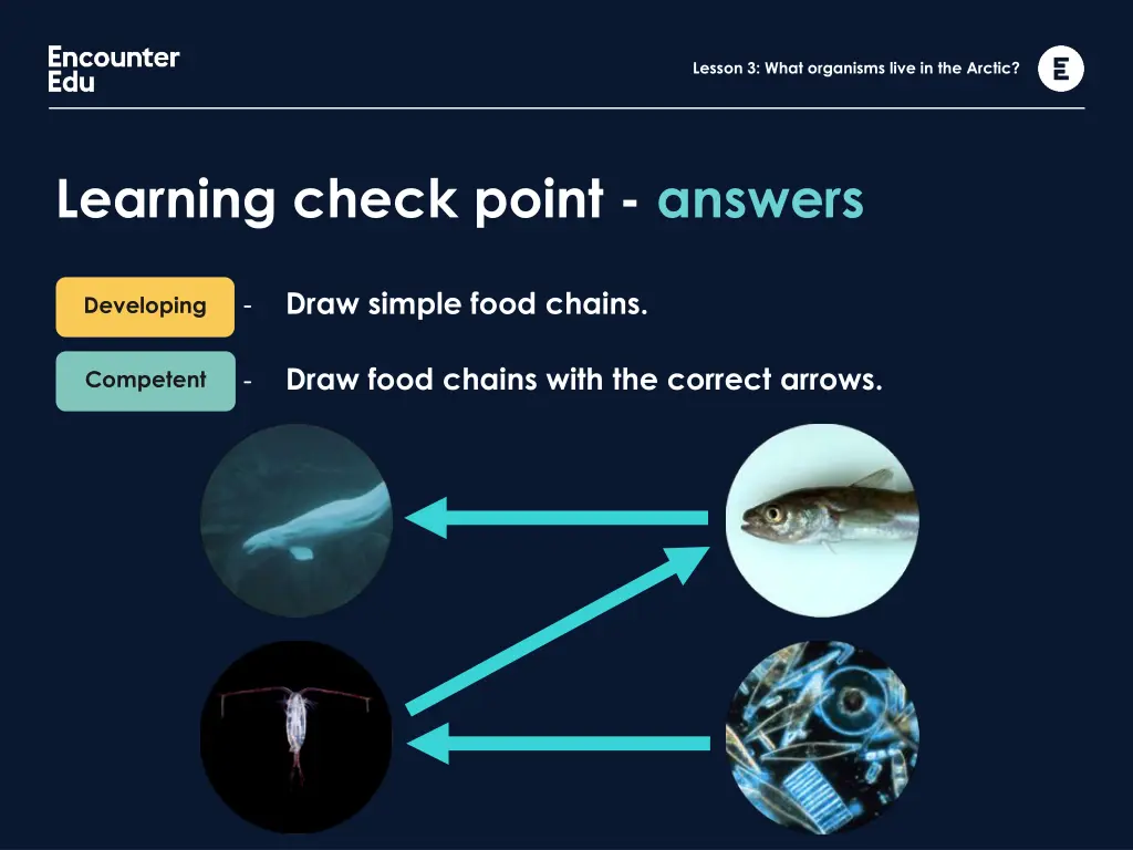 lesson 3 what organisms live in the arctic 10